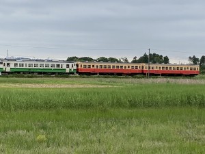 img_1499